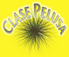 ClasePelusa